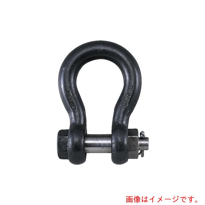 特長 ●JIS B 2801-1996　M級　BBシャックル（生地）です。 ●安全率5倍以上です。 仕様 ●基本使用荷重(t)：2.5 ●使用荷重(kN)：24.5 ●ねじ径：M24 ●B(mm)：31 ●d(本体径)(mm)：23 ●B(...