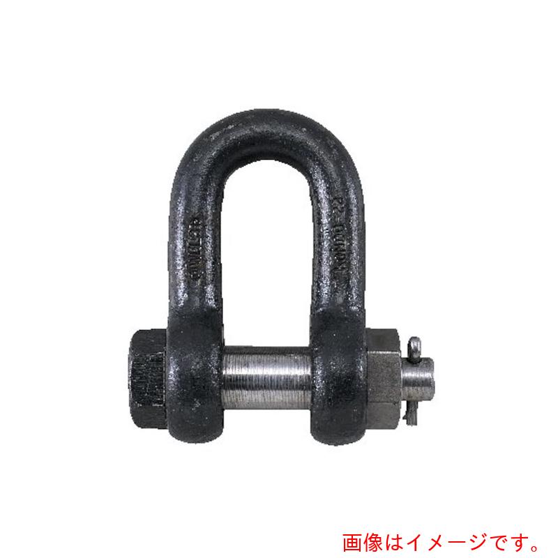 特長 ●JIS B 2801-1996　M級　SBシャックル（生地）です。 ●安全率5倍以上です。 仕様 ●基本使用荷重(t)：16 ●使用荷重(kN)：156.8 ●ねじ径：M56mm ●B(mm)：75 ●B(口幅)(mm)：75 ●D(頭径)(mm)：125 ●L(長さ)(mm)：200 ●d1(穴径)(mm)：62 ●ピン径(mm)：60 質量・質量単位 ●19.9kg 【メーカー名】コンドーテック（株） 【メーカー品番】022SBNA050