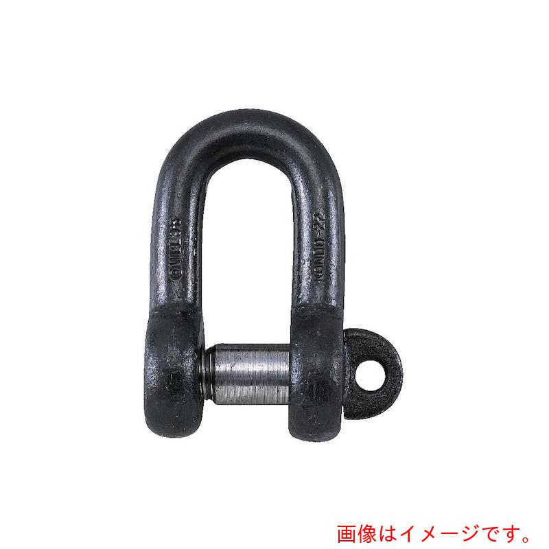コンドーテック　JIS規格シャックル　SCシャックル　10（0．6t）　生地　【品番：022SCNA010】