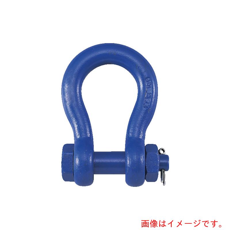 特長 ●構造用合金を素材として注意深く鍛造され、熱処理（焼入・焼戻）を施した高品質の製品です。強度・耐摩耗に優れておりますので安全性も抜群です。 仕様 ●基本使用荷重(t)：50 ●使用荷重(kN)：490 ●ねじ径：M64 ●B(mm)：90 ●D(mm)：150 ●L(mm)：310 ●L1(mm)：240 ●d(mm)：60 ●呼び(t)：60 ●a(mm)：69 ●B1(mm)：178 ●d1(mm)：72 ●ピン径(mm)：70 ●安全率5倍以上、使用荷重はJIS規格シャックル等級V級相当 質量・質量単位 ●42.6kg 【メーカー名】コンドーテック（株） 【メーカー品番】024BBA060 【法人限定商品】※下記注意事項を事前にご確認ください。 ●この商品は送料が別途必要になります。 ●ご注文後、改めて当店より送料をご連絡させていただきます。送料のご了承をいただいてからの手配となります。（ご連絡までに数日かかる場合があります） ●手配後のキャンセル・返品・交換はできません。 ●メーカー直送、または、福山通運・西濃運輸・佐川急便でのお届けとなります。 ●配送業者の指定はできません。 ●原則法人宛（個人宅を除く）のみの配達となります。個人宅へのお届けの場合は事前にお問い合わせください。 ●お届け先の宛名または住所に法人名の記載がない場合は、法人であっても個人宅扱いとなります。 ●個人宅（法人名不記載を含む）へのお届けができない場合があります。 ●一部配送業者は平日のみの配達になります。原則時間指定はできません。 ●他メーカーとの同梱不可。 ●代金引換決済のご利用不可。
