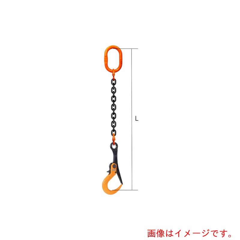 特長 ●敷鉄板の敷設、撤去作業等の吊り作業に最適。開口部が大きいので取り付け・取り外しが簡単。吊上げ時、自動的に閉鎖ロックがかかり安全確実。 仕様 ●基本使用荷重(t)：3 ●有効長l(m)：1 ●マスターリンク寸法d（mm）：16 ●マスターリンク寸法t（mm）：140 ●マスターリンク寸法w（mm）：80 ●マスターリンク寸法s（mm）：13 ●フック寸法L（mm）：169 ●フック寸法L1（mm）：78 ●フック寸法L2（mm）：38 ●フック寸法H（mm）：383 ●フック寸法H1（mm）：280 ●フック寸法H2（mm）：145 ●フック寸法D（mm）：64 ●フック寸法D1（mm）：32 ●フック寸法T（mm）：54 ●フック寸法T1（mm）：33 ●フック寸法T2（mm）：18 質量・質量単位 ●7.22kg セット内容・付属品 ●マスターリンク：M8W16　フック：SLH3A 【メーカー名】コンドーテック（株） 【メーカー品番】03501KSLH3A1