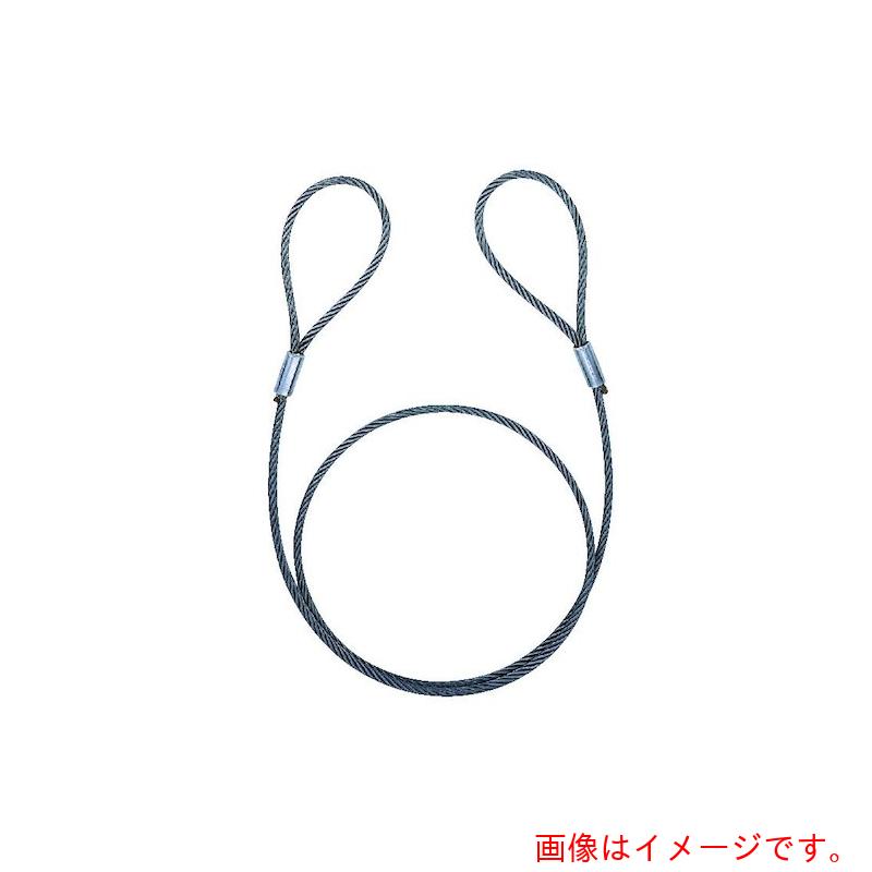 コンドーテック　アウトロック止ワイヤ　6×24　O／O　9mm×6m　【品番：052024O096】