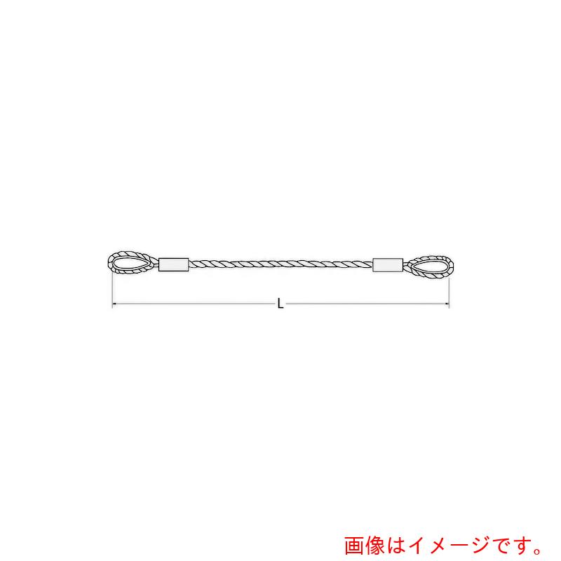 コンドーテック　JISロック止ワイヤ　φ10×2M　両コース入　【品番：05221102】