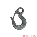 コンドーテック Zコート 鍛造環付フック(安全レバー付) 2T 【品番:063A2Z02S】