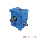 マキシンコー(MAKISHINKO) 一段ウォーム減速機 入力容量12.8kW 【品番:MA B 160 L 30】