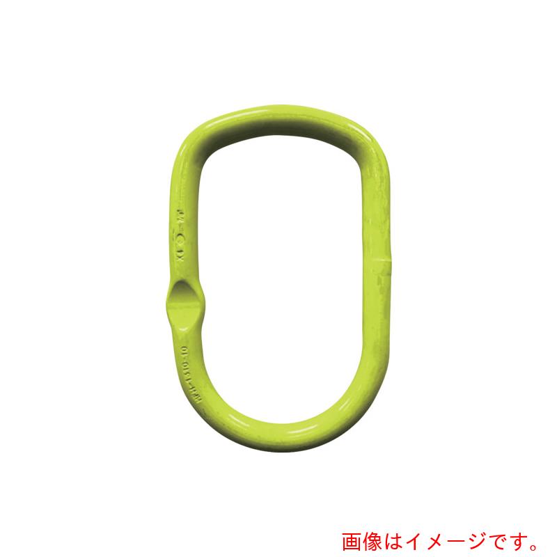 特長 ●「ハイブリッド」として下の部分は普通のマスターリンクの形状で、上の部分はクレーンフックにぴったり合う形状です。 ●大型クレーンフック用マスターリンク 質量・質量単位 ●10.9kg 【メーカー名】マーテック（株） 【メーカー品番】MFHW-2220-10