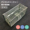 丸十金網 アニマルキャッチャー猫の保護器 【品番:4962195000035】