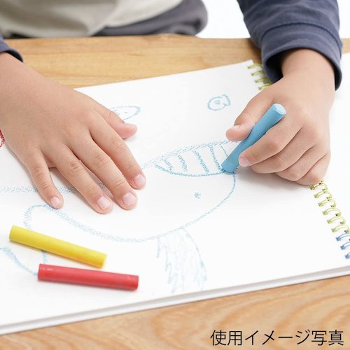 マルマン（maruman）　F0　スケッチ　アートスパイラル　【品番：S310-06】
