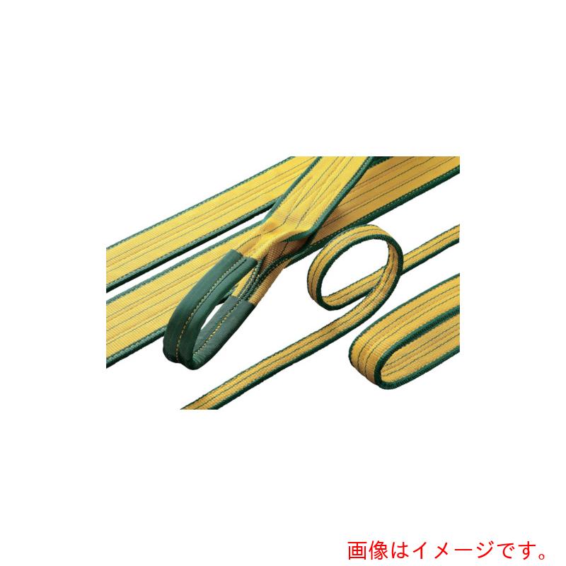 明大（MEIDAI）　ロックスリング　シグマ　A−1　100mm×5．5m（両端アイ形）　【品番：A-1 100X5.5】