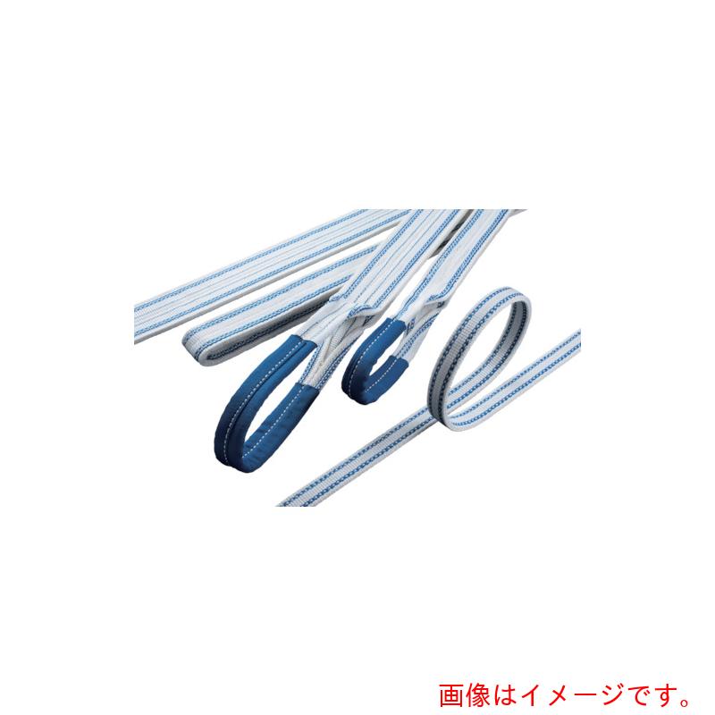 明大（MEIDAI）　ロックスリング　エステル　B−1　35mm幅×9．0m（両端アイ形）　【品番：B135X9.0】