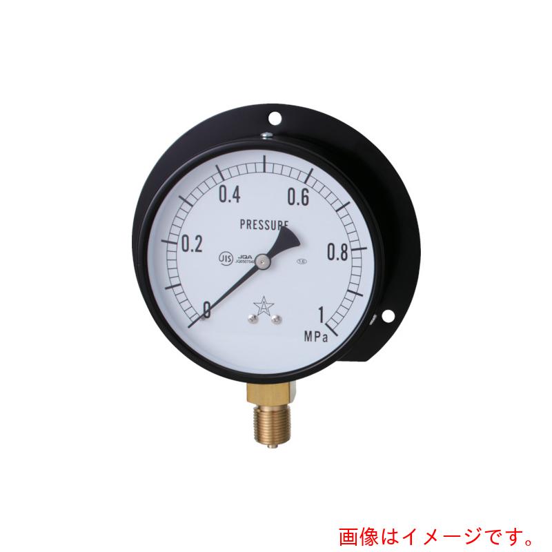 右下精器製造　一般圧力計（B枠立型・φ100）　圧力レンジ0．0〜0．25MPa　【品番：G421-211-V-0.25MP】