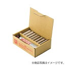 未来工業 ガス缶・鋲(25mm)セット ガス式鋲打機用 【品番:GG-F25B】