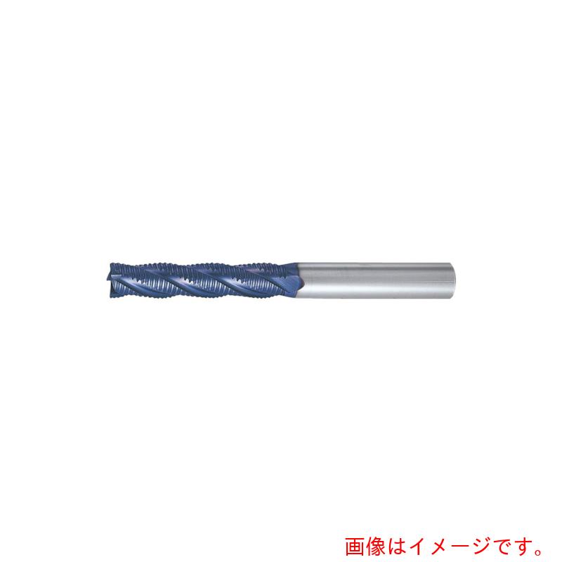 MOLDINOESM꡼ȥե󥰥ɥߥʥ󥰿ϡ50֡ESMQL50