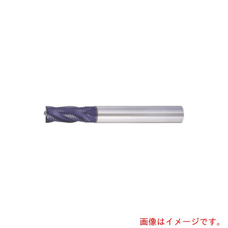 MOLDINOESM−C−ȥե󥰥ɥߥʥ硼ȿϡ50֡ESMQS50