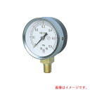 長野計器 JIS汎用形圧力計A枠(テーパー) 圧力レンジ(MPa):0.0〜0.10 【品番:GS50-171-0.1MP】(4)