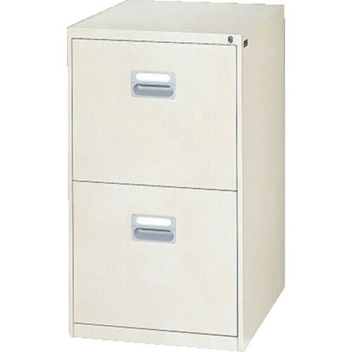 【別途送料あり】ナイキ（NAIKI）　レントゲンデータキャビネット　【品番：A3RC-2W-WC】