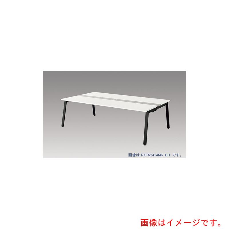 【別途送料あり】ナイキ（NAIKI）　大型ベンチテーブル　（基本型）　（両面タイプ）　【品番：RXFN2012K-BH】