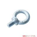 【メール便対応】浪速鉄工 アイボルト クリスタルコート M6 【品番:EBH000006】