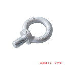 浪速鉄工 アイボルト クリスタルコート M10 【品番:EBH000010】