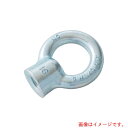 浪速鉄工 アイナット ユニクロ M6 【品番:EN3000006】