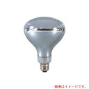 日動工業 安全投光器用交換球 レフ球(白熱球) 200W 220V 2300Lm 【品番:NRF-200 220V】