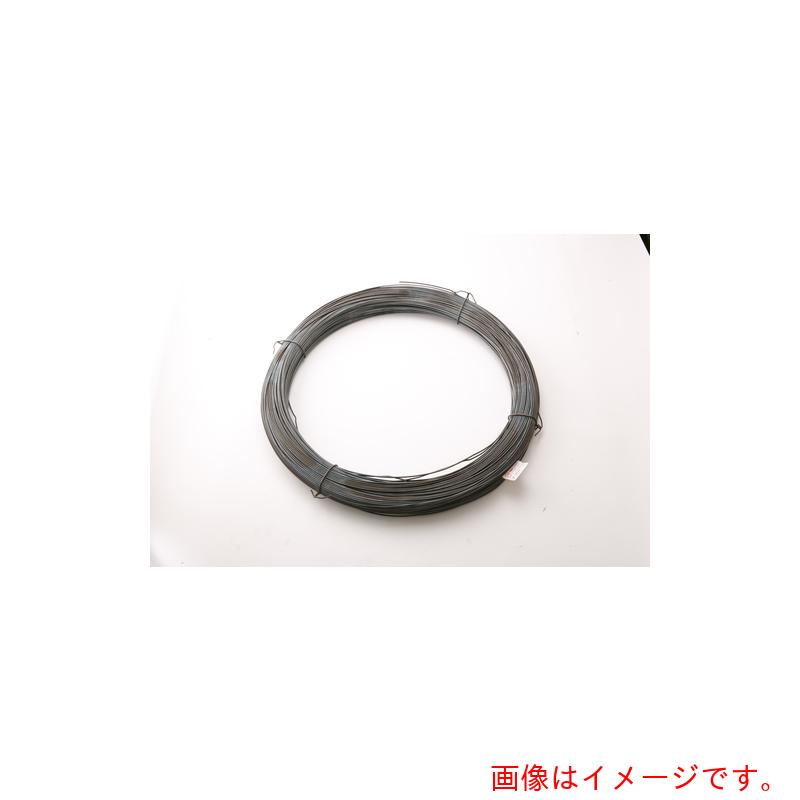 特長 ●素材を厳選し連続焼鈍炉による製造で、均一で柔らかく伸びがある使い易い製品にしあげております。 用途 ●建築現場や製造現場での結束用途などに 仕様 ●番手(#)：12 ●鉄線径(mm)：2.6 ●線径(mm)：2.6 ●JIS G 3352、SWM-A 材質 ●軟鋼線材 SWRM その他 JIS G 3505 に適合した線材 等 質量・質量単位 ●25.0kg 【メーカー名】二藤レール（株） 【メーカー品番】303000520-000-000