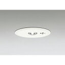 オーデリック 非常用照明器具 誘導灯器具 【品番:OR 036 307P2】