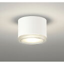 オーデリック 非常用照明器具 誘導灯器具 【品番:OR 037 037】(3)