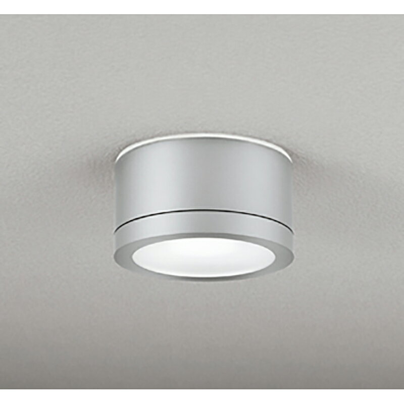 オーデリック　エクステリア ポーチライト　【品番：OG 254 603NR】