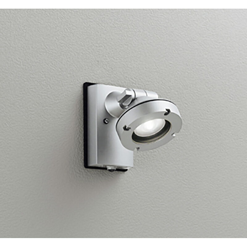 オーデリック　エクステリア スポットライト　【品番：OG 254 895】