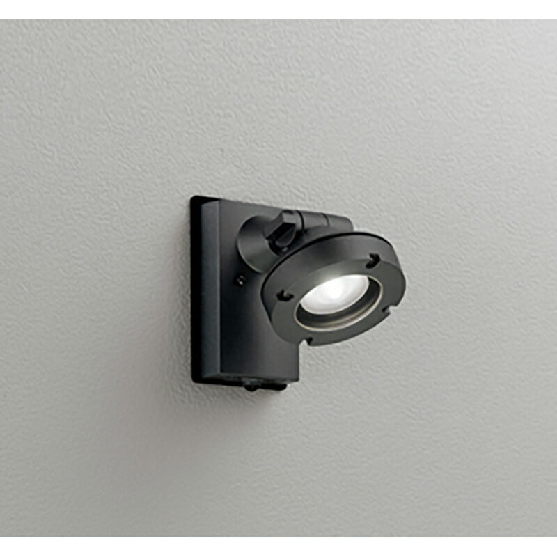 オーデリック　エクステリア スポットライト　【品番：OG 254 897】