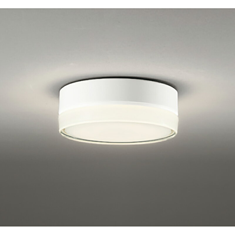 オーデリック　エクステリア ポーチライト　【品番：OG 254 960LD】