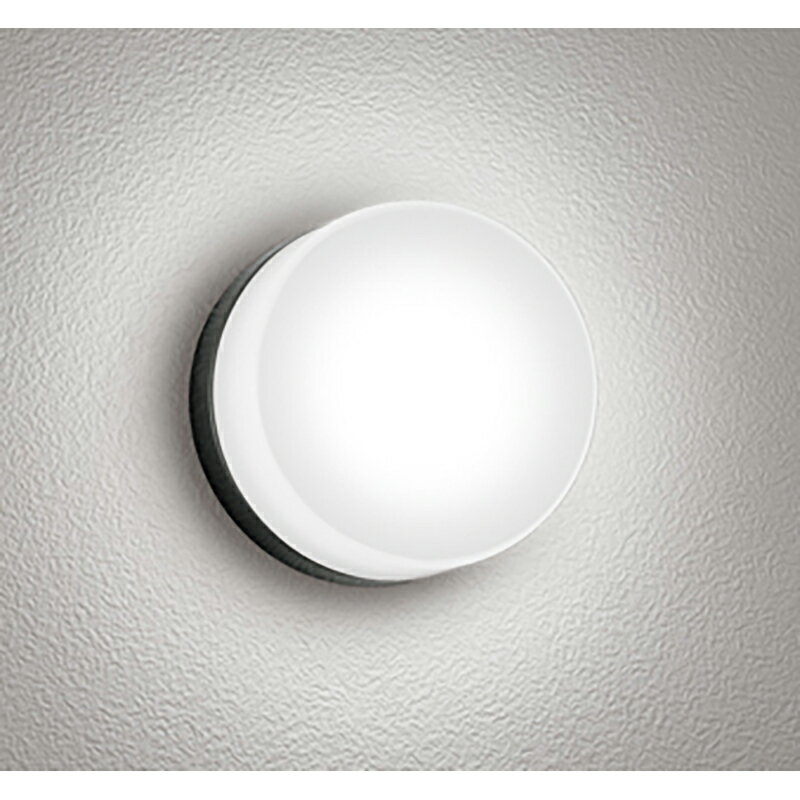 オーデリック　エクステリア ポーチライト　【品番：OG 254 982NR】