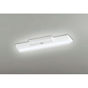 オーデリック ベースライト LED-LINE 非常用照明器具 直付型 20形 逆富士型(幅150) 1600lmタイプ 非調光 昼白色 【品番:XR 506 001R3B】(3)