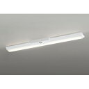 オーデリック ベースライト LED-LINE 非常用照明器具 直付型 40形 逆富士型(幅150) 2000lmタイプ 非調光 電球色 【品番:XR 506 002R1E】(3)