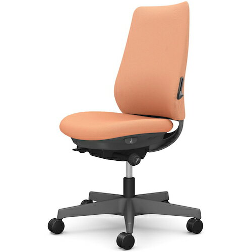 オカムラ　OKAMURA　ポータム，肘なし，背クッション，スタンダードタイプ，ダークグレー，ハンガー無..