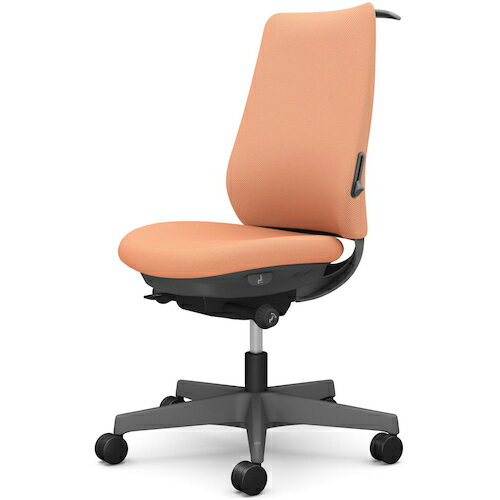 オカムラ　OKAMURA　ポータム，肘なし，背クッション，スタンダードタイプ，ダークグレー，ハンガー有，ランバー有，ナイロンキャスター　【品番：CF14XE FKZ7】(3)