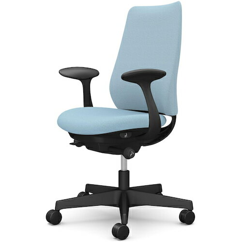 オカムラ　OKAMURA　ポータム，固定肘，背クッション，スタンダードタイプ，ブラックボディ，ハンガー無，ランバー無，ナイロンキャスター　【品番：CF23XR FXW9】