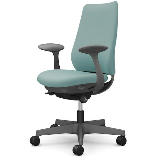 オカムラ　OKAMURA　ポータム，固定肘，背クッション，スタンダードタイプ，ダークグレー，ハンガー無，ランバー無，ウレタンキャスター　【品番：CF23ZA FSG7】