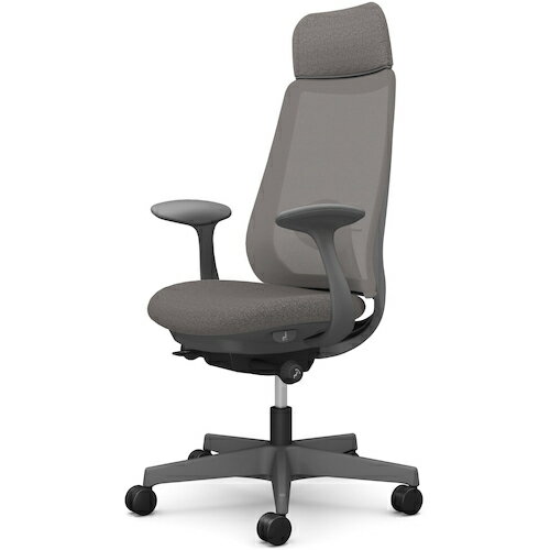 オカムラ　OKAMURA　ポータム，固定肘，背メッシュ，EXスタンダードタイプ，ダークグレーボディ，ハンガー無，ランバー有，ナイロンキャスター　【品番：CF25XE F1K3】