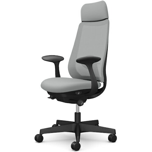 オカムラ　OKAMURA　ポータム，固定肘，背メッシュ，EXスタンダードタイプ，ブラックボディ，ハンガー無，ランバー有，ナイロンキャスター　【品番：CF25XS FKA3】