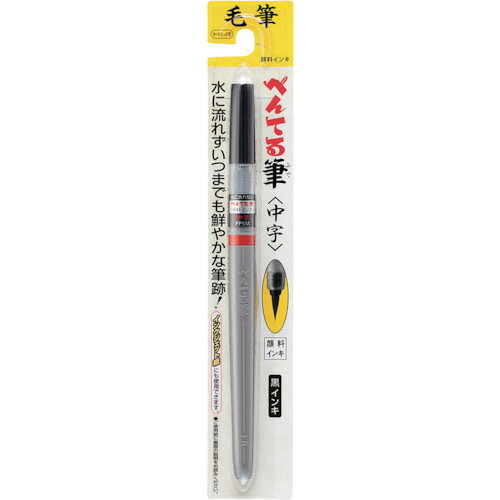 アストラム（Astrum）　ぺんてる　パックぺんてる筆顔料　【品番：XFP5M】