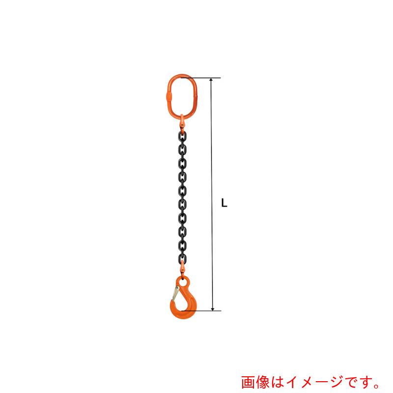 pewag　スリングチェーン　シングル（アイタイプ）　SE1　5×1M　【品番：035ZPSE1051】