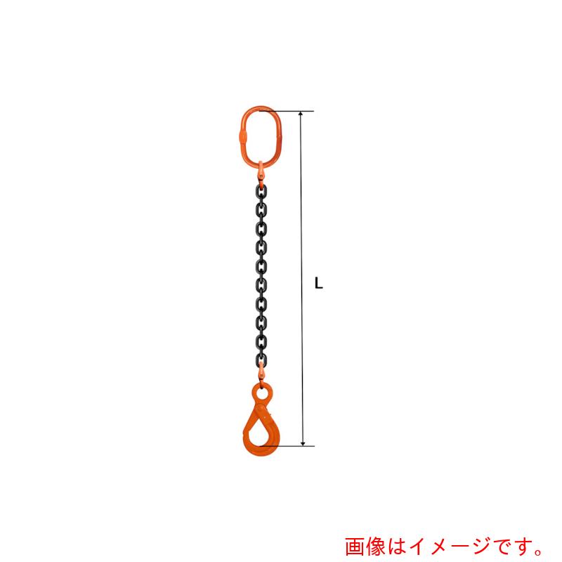 特長 ●ウィナー・グレード10を使用した1本吊り用チェーンスリングです。 ●摩耗に強く、長期間使用可能です。 ●日常点検、年間定期点検が容易に行えます。 仕様 ●基本使用荷重(t)：8.0 ●チェーン線径(mm)：16 ●有効長l(m)：3 ●使用チェーン破断応力（N/［MM2］）：1000 ●ASTM973/A973M-01に基づいたチェーンを使用。 ●使用荷重を記入したタグ付き。 質量・質量単位 ●25.4kg セット内容・付属品 ●マスターリング：M8W26 ●フック：LHW16 ●チェーン：ウィナー・グレード10　16mm 【メーカー名】pewag社 【メーカー品番】035ZPSE2M163