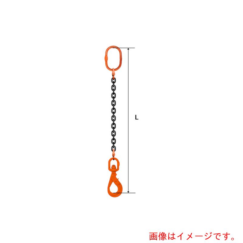 特長 ●ウィナー・グレード10を使用した1本吊り用チェーンスリングです。 ●摩耗に強く、長期間使用可能です。 ●日常点検、年間定期点検が容易に行えます。 仕様 ●基本使用荷重(t)：5.36 ●チェーン線径(mm)：13 ●有効長l(m)：4 ●使用チェーン破断応力（N/［MM2］）：1000 ●ASTM973/A973M-01に基づいたチェーンを使用。 ●使用荷重を記入したタグ付き。 質量・質量単位 ●21.3kg セット内容・付属品 ●マスターリング：M8W22 ●フック：WLHW13 ●チェーン：ウィナー・グレード10　13mm 【メーカー名】pewag社 【メーカー品番】035ZPSE3M134