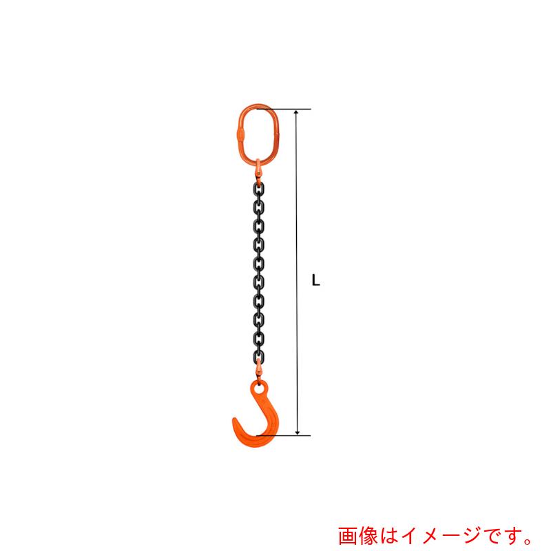 pewag　スリングチェーン　シングル（アイタイプ）　大型マスターリンク　SE5M　16×6M　M8W26・FW16　【品番：035ZPSE5M166】