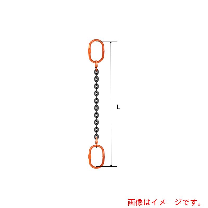 pewag　スリングチェーン　シングル（アイタイプ）　SE6　8×4M　【品番：035ZPSE6084】