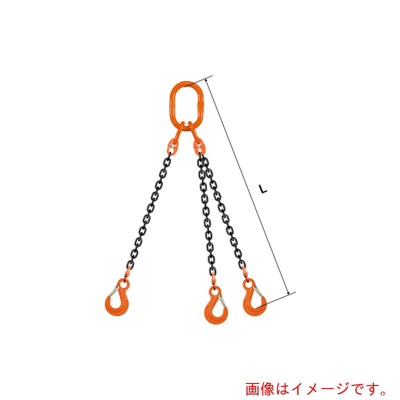 【別途送料あり】pewag　スリングチェーン　トリプル（アイタイプ）　大型マスターリンク　TE1M　16×3M..