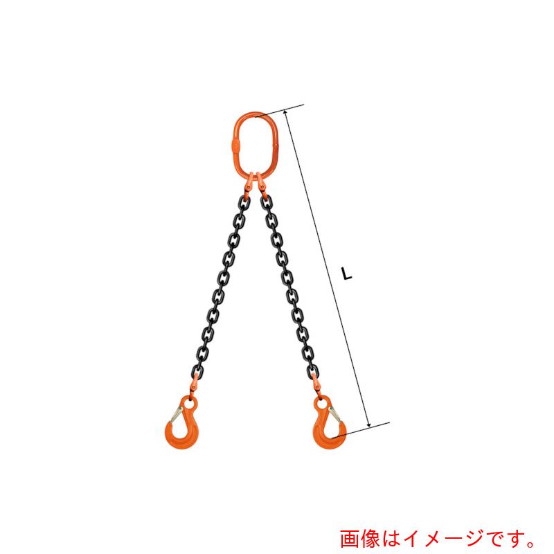 pewag　スリングチェーン　ダブル（アイタイプ）　WE1　16×3．5M　【品番：035ZPWE1163S5】