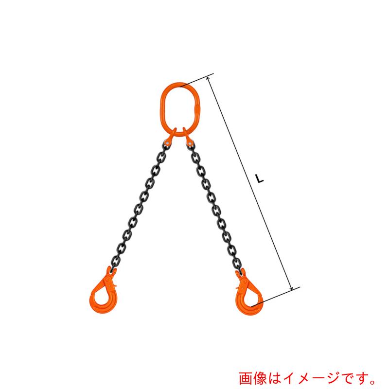 【法人限定】pewag　スリングチェーン　ダブル（ピンタイプ）　WP2M　13×5．5M　【品番：035ZPWP2M135S5】